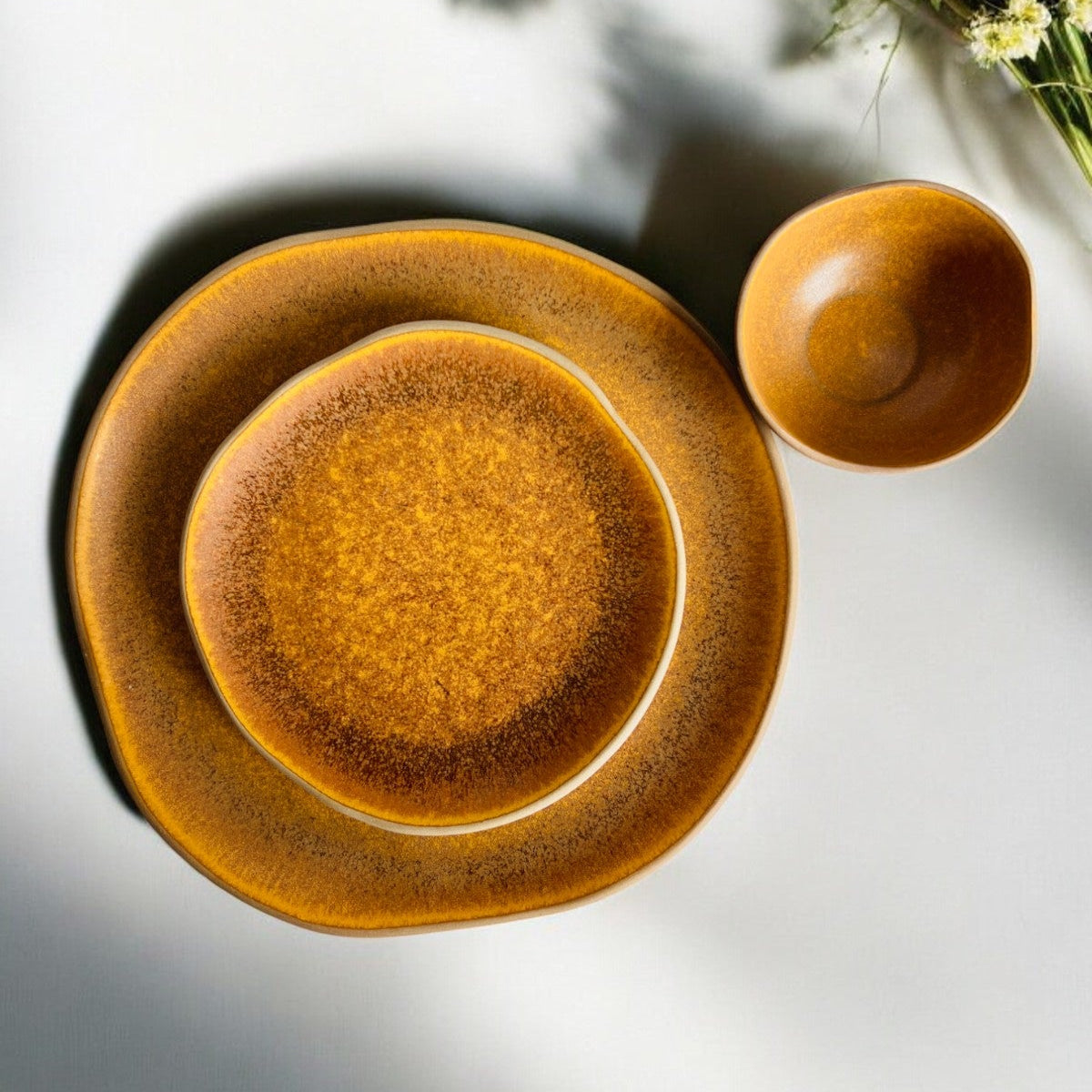 Desert Earth Dinner Set