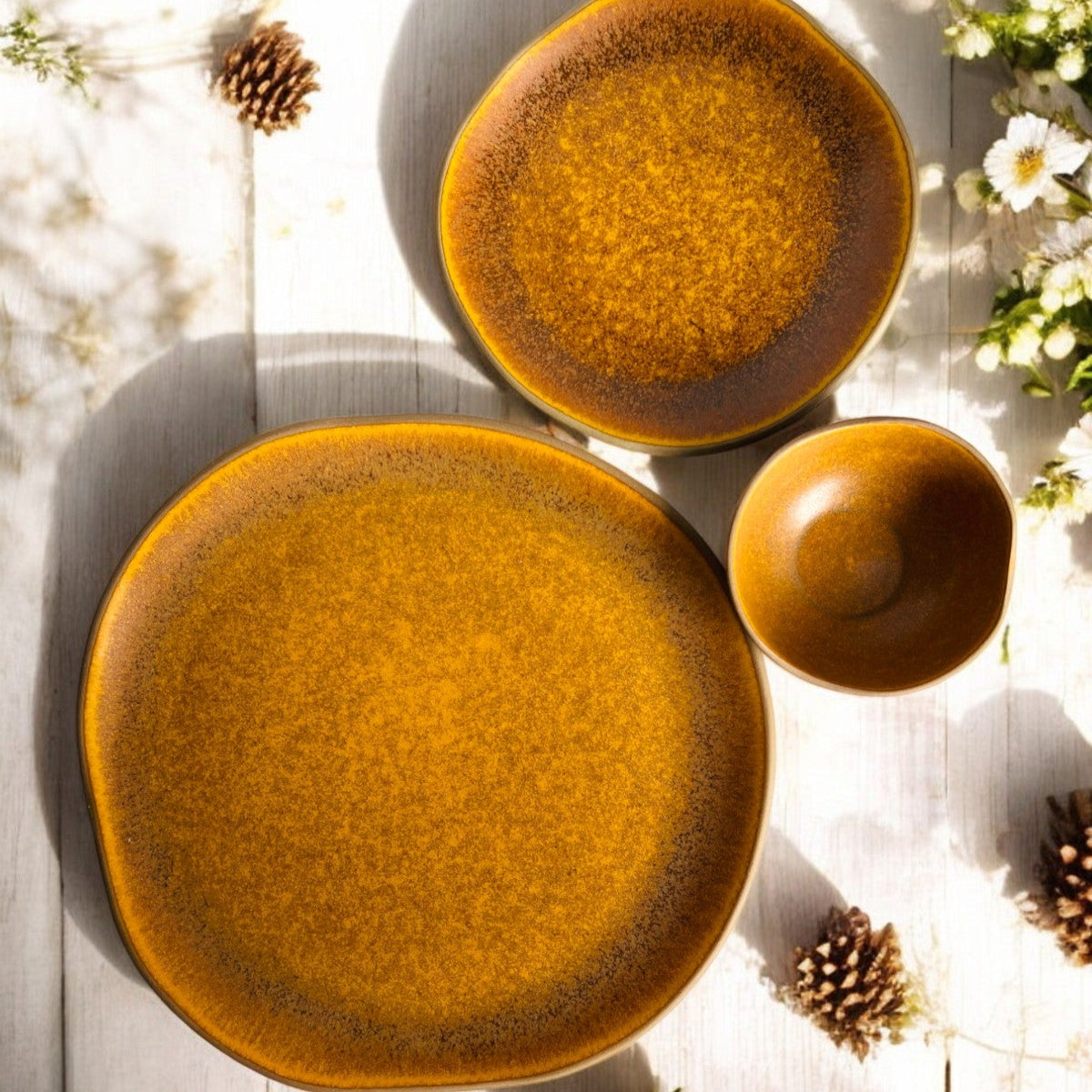 Desert Earth Dinner Set