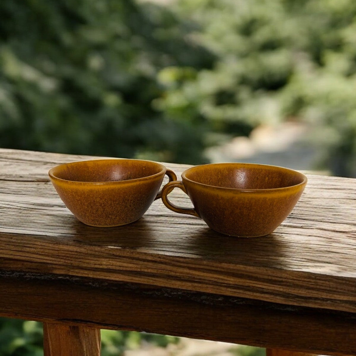 Desert Earth Soup Set (Set of 2)