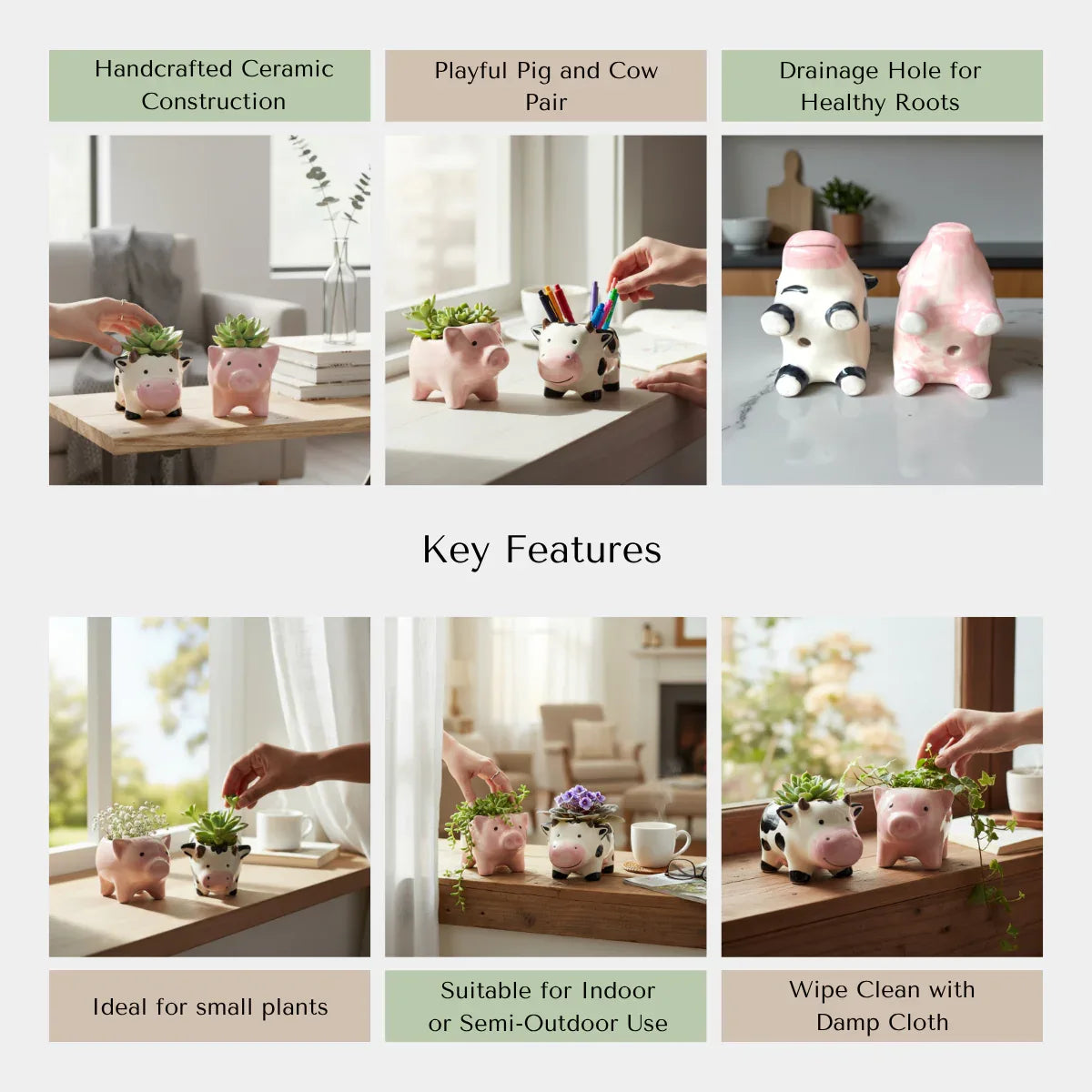 Desk ceramic pig and cow planters with key features highlighted. Ideal for gifting. 