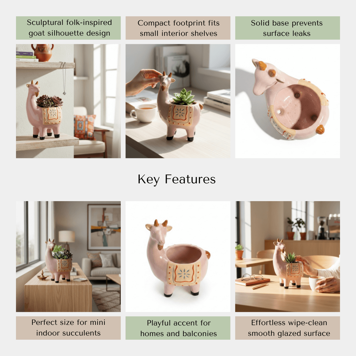 An infographic detailing the premium high-fired build, glossy blush coating, and artistic folk-style silhouette of the planter.