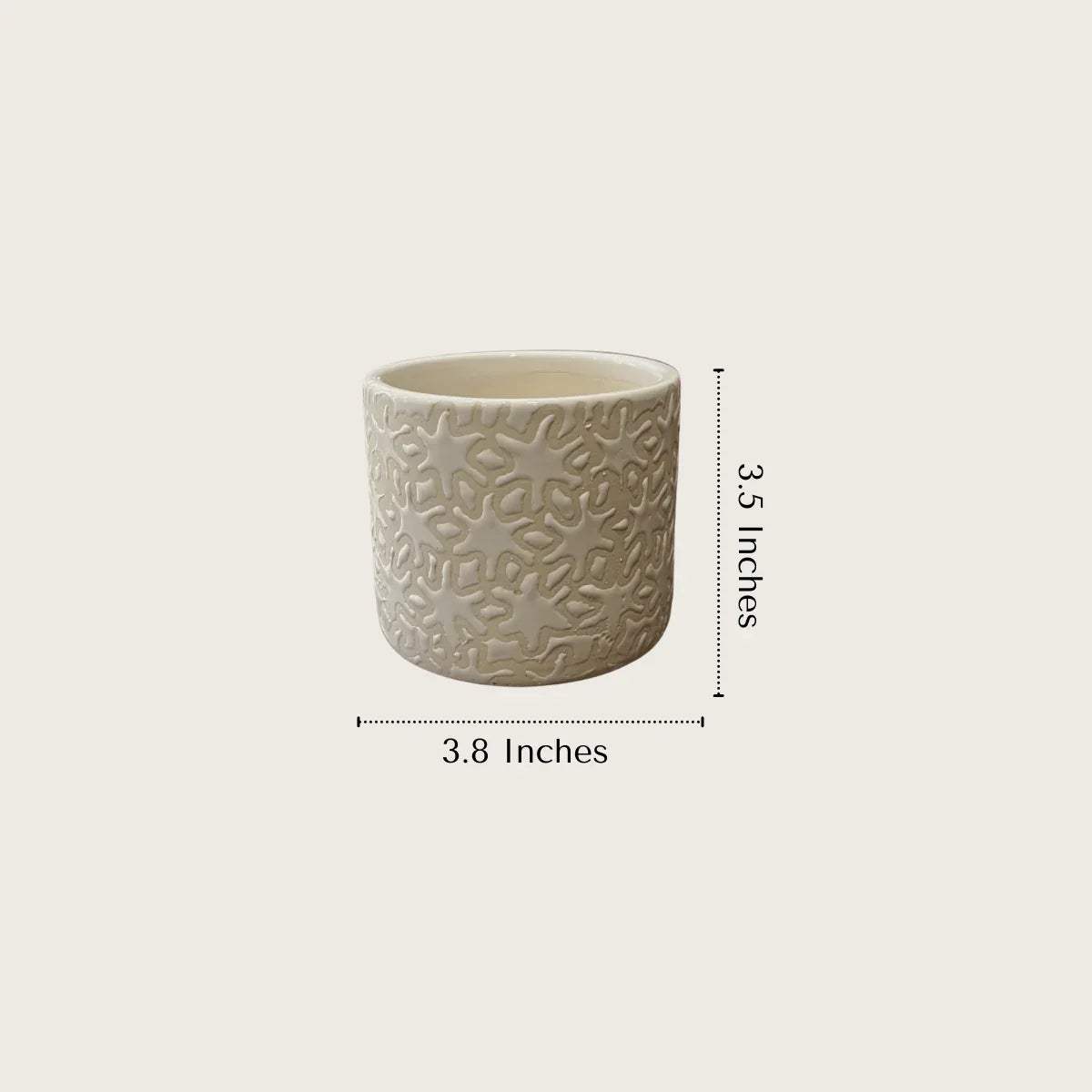 Citrus Squad specs; 3.8" diameter x 3.5" height, lightweight durable ceramic with integrated drainage holes.