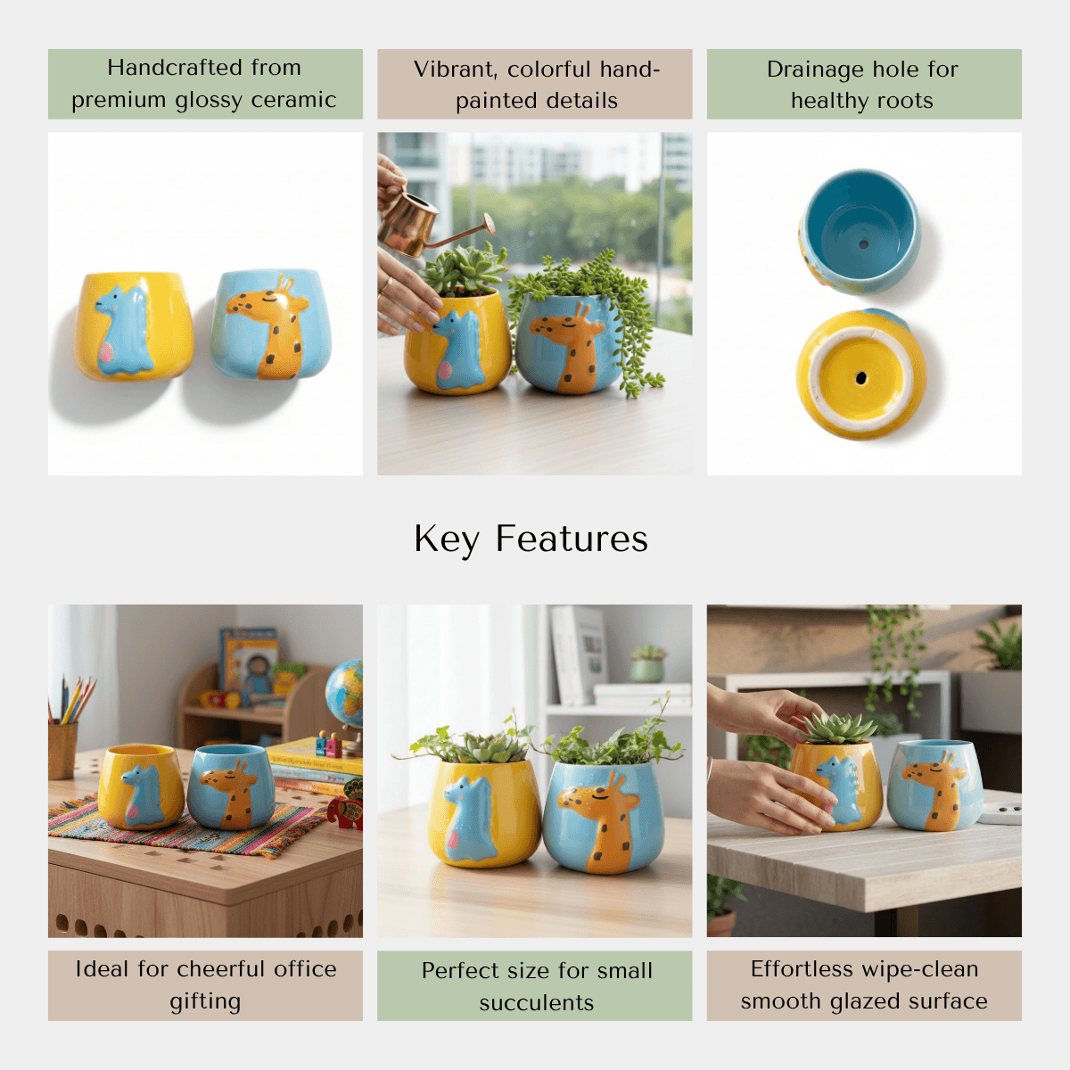 Infographic highlighting the elongated footprint, embossed graphics, and drainage hole base of the giraffe and dinosaur planters.