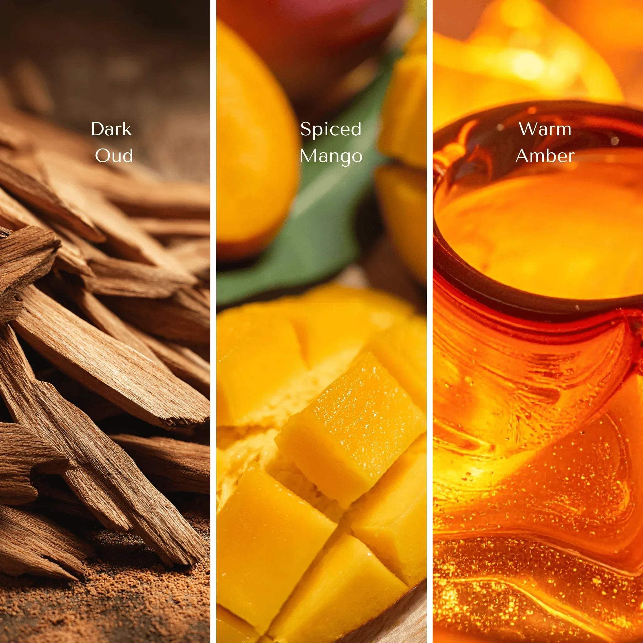 Top notes of the deep sanctuary mist - dark oud, spiced mango, and warm amber; perfect for creating a sensual vibe.