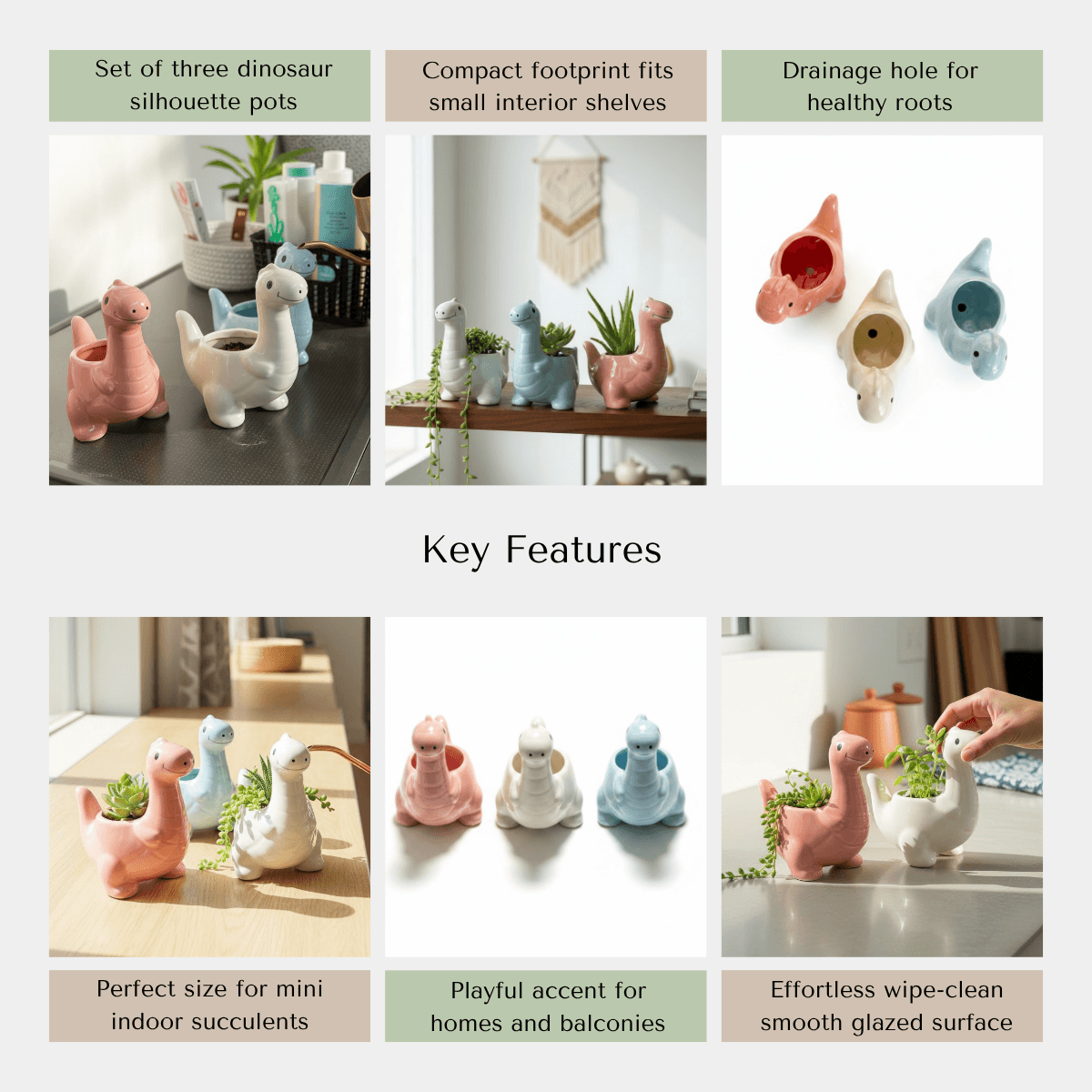 An infographic detailing the non-toxic shiny glaze, drainage hole, and cute dinosaur shape of the home decor planters.