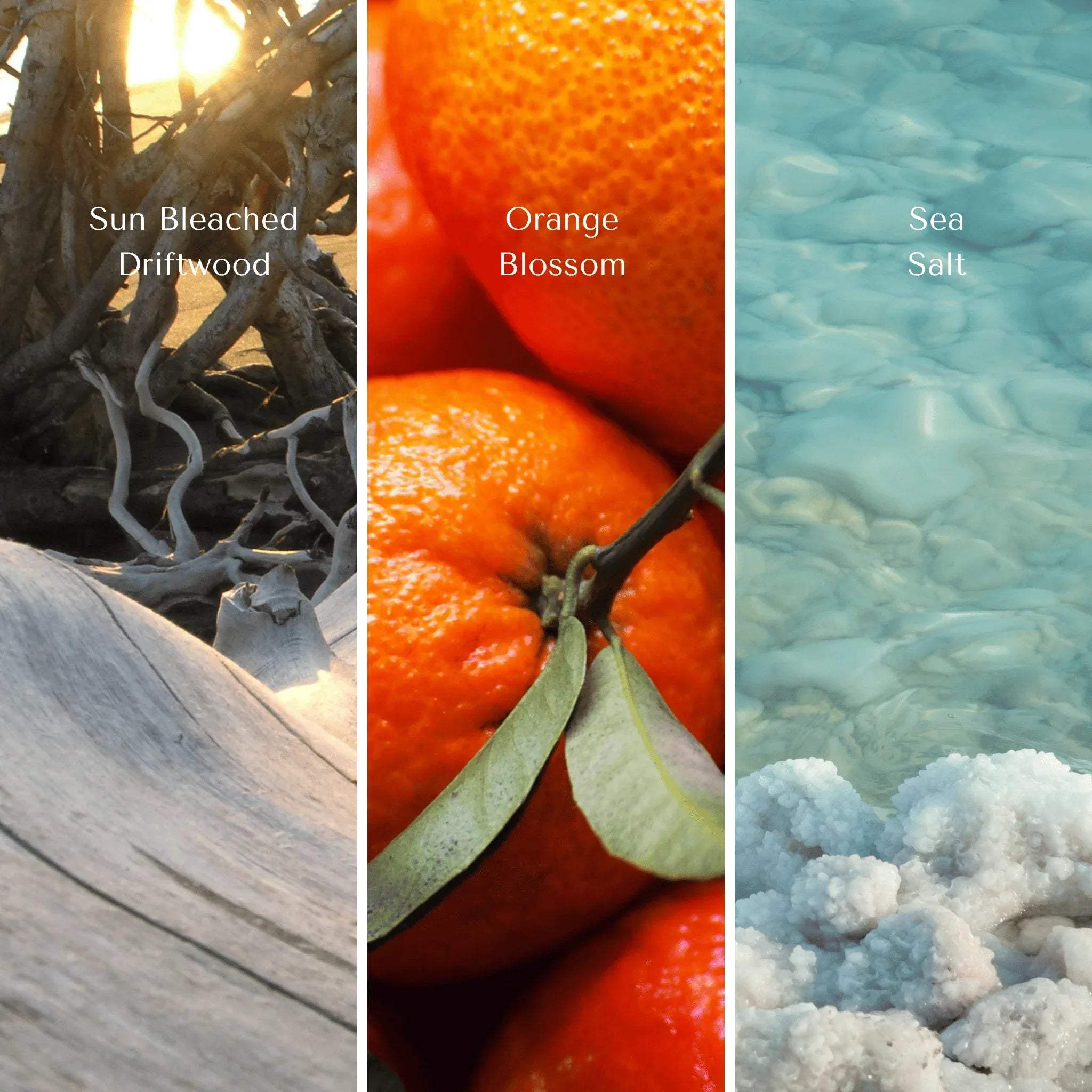 Three main notes of the driftwood - sun bleached driftwood, orange blossom and sea salt; non-toxic, eco-friendly ingredients.