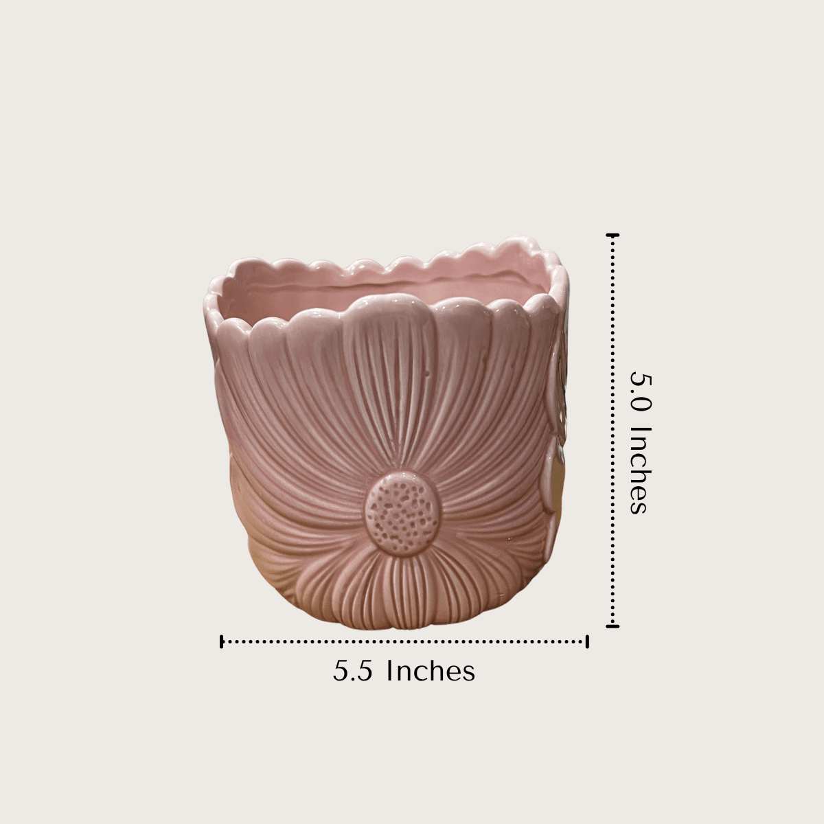Product measurement diagram showing the 5.0 inches height and 5.5 inches diameter dimensions of the medium-sized pastel floral ceramic pots.