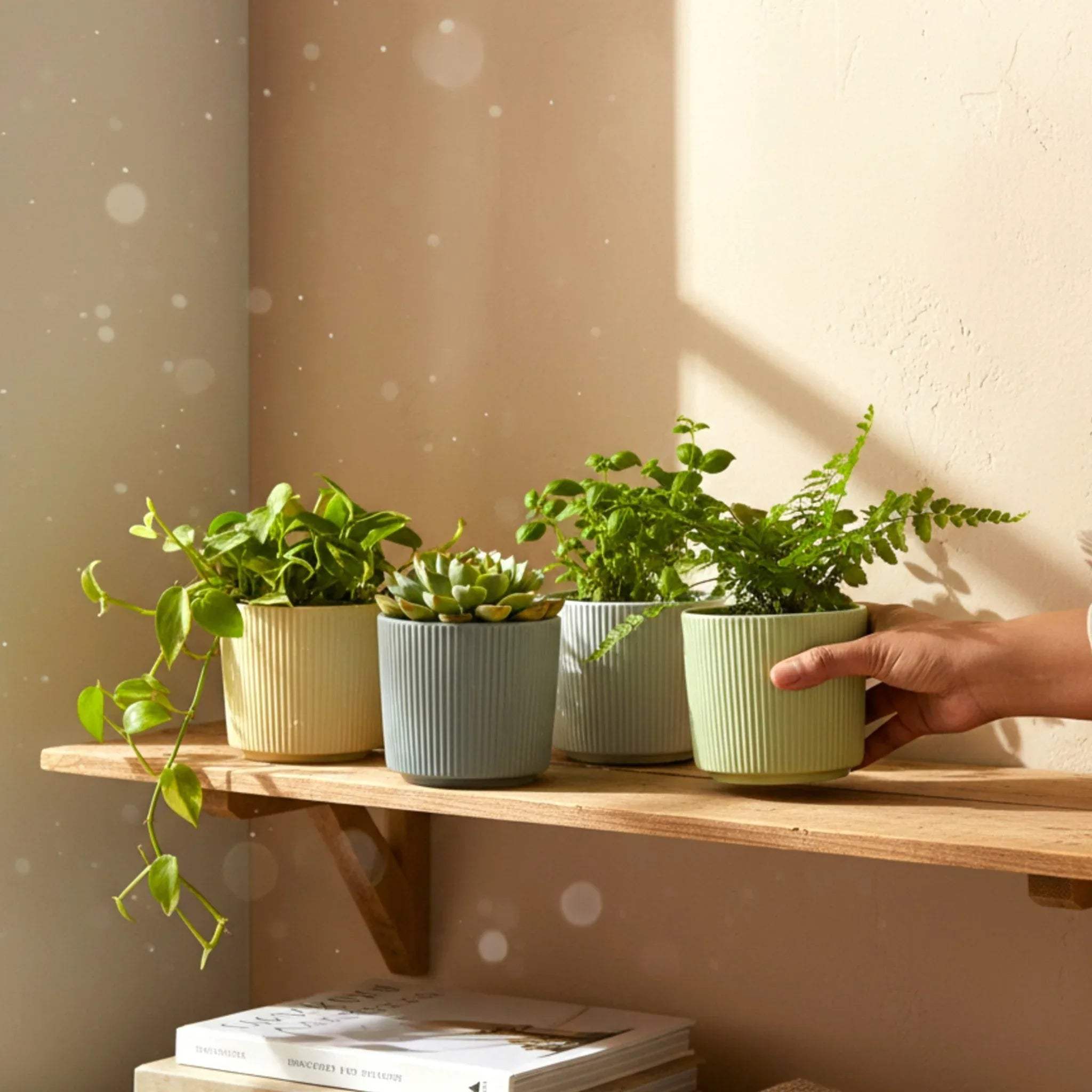 Ribbed ceramic texture; handcrafted matte finish and artisanal pottery detail for plant parents.
