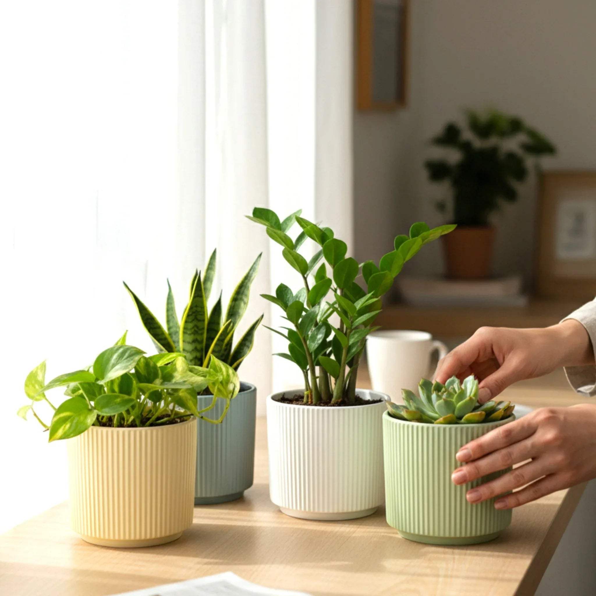 Rustic Stone Harmony Planters; set of 4 varying colour ceramic pots for succulents and indoor plants.