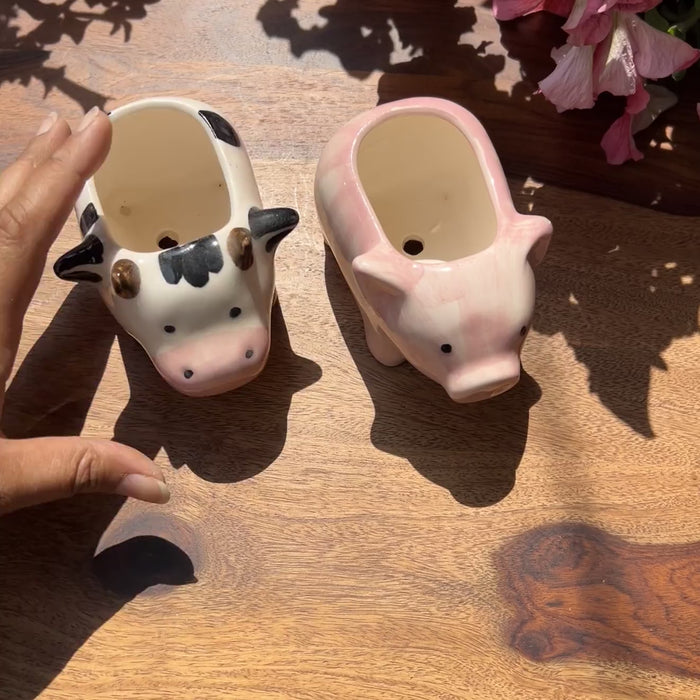Product video of hand painted pig and cow planters; drainage roots and unglazed interior for healthy roots. 