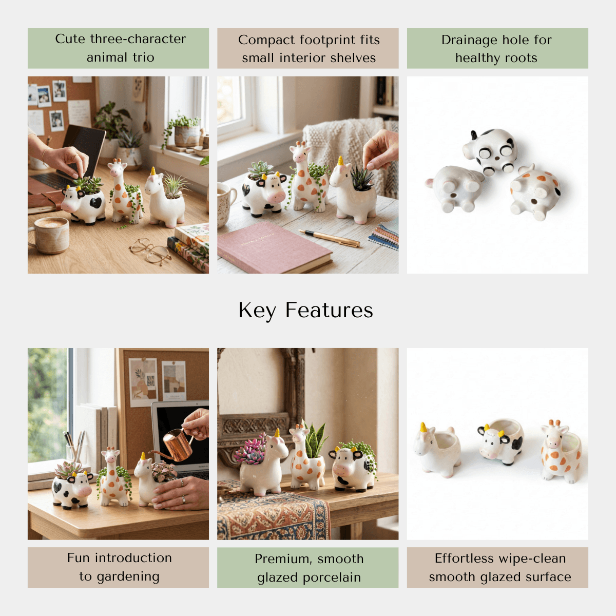 Cute animal-shaped planters with key features highlighted like compact size, gifting set and high quality porcelain.
