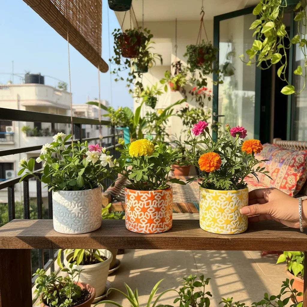 Sunlit balcony garden; Citrus Squad planters with Marigolds and Petunias on a wooden railing shelf.