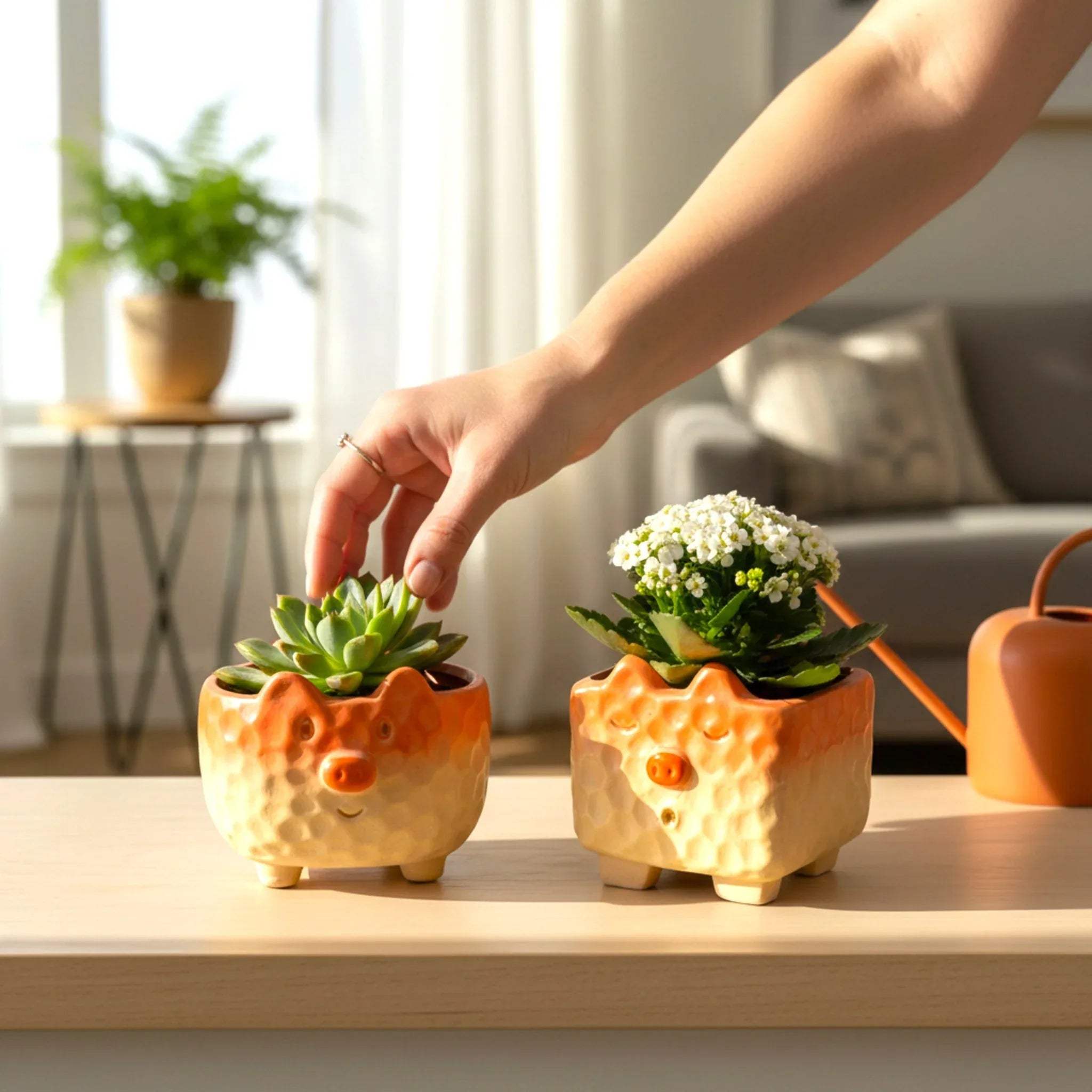Playful desk decor; the pig planters holding tiny succulents.